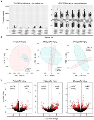 Bioinformatic analysis of the molecular mechanisms underlying the progression of bone defects